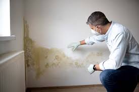 Mold Remediation for Rental Properties in Mount Carmel, IL